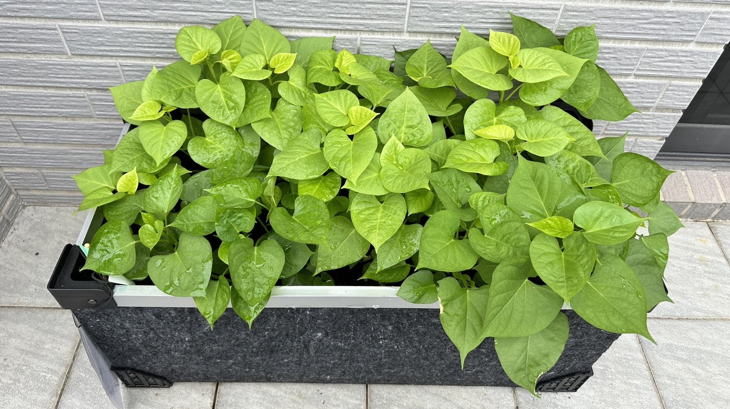 農業・園芸用品